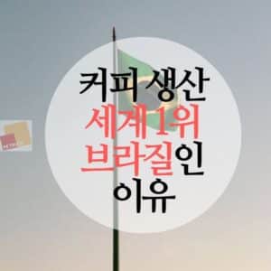 브라질 커피 생산