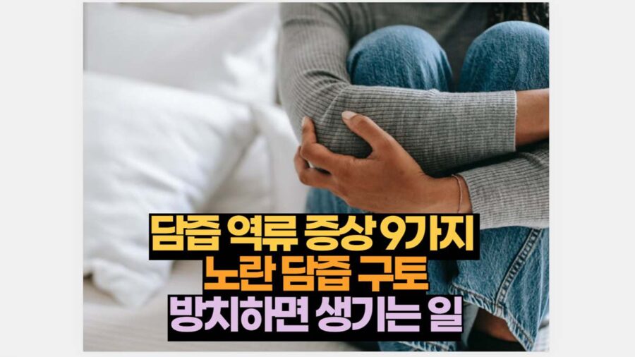 담즙 역류 증상 9가지  노란 담즙 구토 방치하면 생기는 일