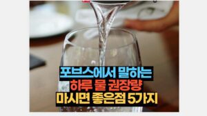 잠자는 자세 왼쪽으로 꼭 자야 하는 4가지 이유 10 포브스에서 말하는  하루 물 권장량  마시면 좋은점 5가지