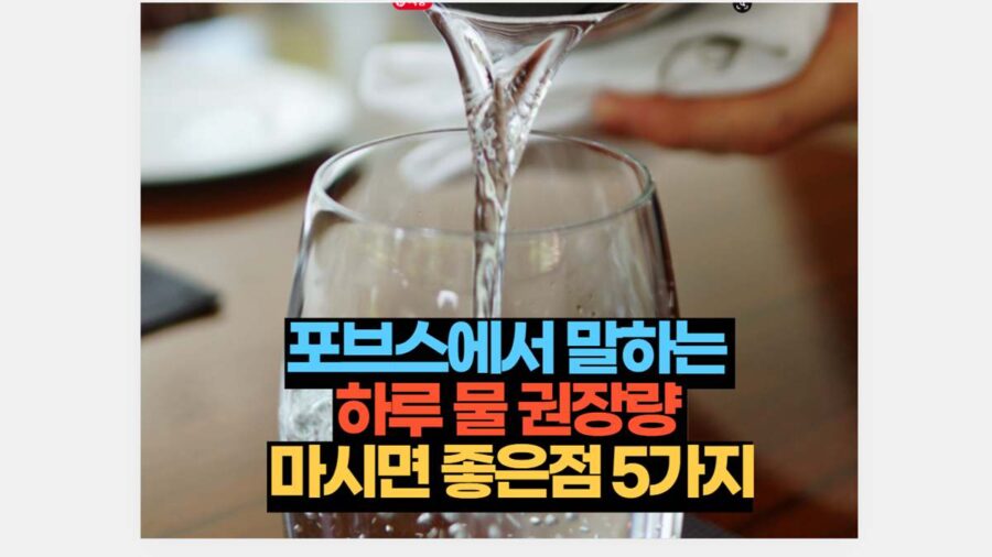 포브스에서 말하는  하루 물 권장량  마시면 좋은점 5가지