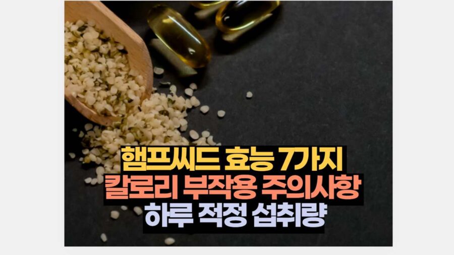 햄프씨드 효능 7가지  칼로리 부작용 주의사항  하루 적정 섭취량