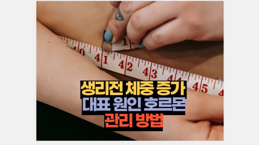 생리전 체중 증가  대표 원인 호르몬 관리 방법