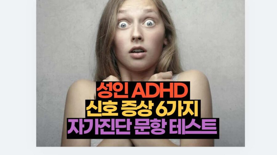 성인 ADHD  신호 증상 6가지  자가진단 문항 테스트 