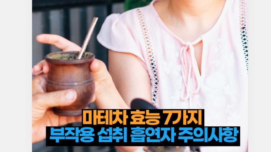 마테차 효능 7가지   부작용 섭취 흡연자 주의사항 