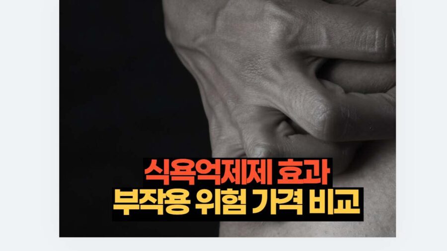 식욕억제제 효과  부작용 위험 가격 비교 