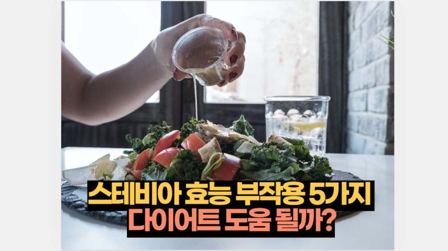 스테비아 효능 부작용 5가지  다이어트 도움 될까?