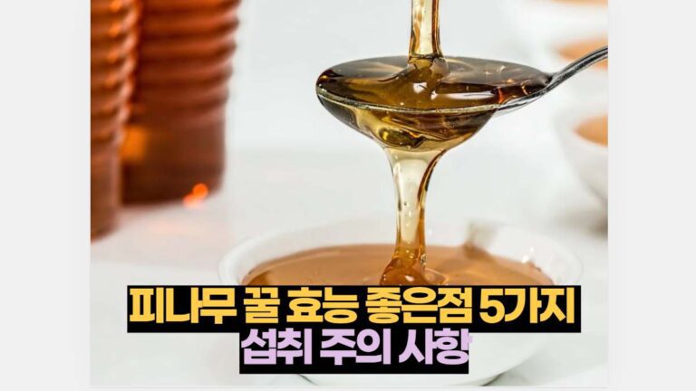 피나무 꿀 효능 좋은점 5가지  섭취 주의 사항
