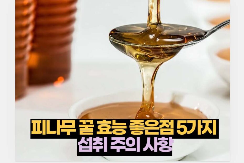피나무 꿀 효능 좋은점 5가지  섭취 주의 사항