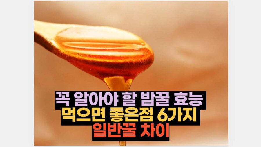 꼭 알아야 할 밤꿀 효능  먹으면 좋은점 6가지  일반꿀 차이