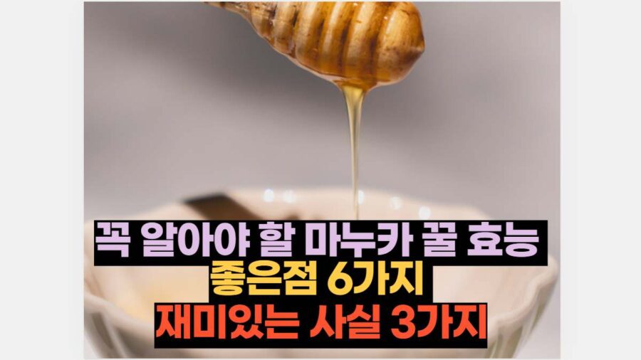 꼭 알아야 할 마누카꿀 효능  좋은점 6가지  재미있는 사실 3가지