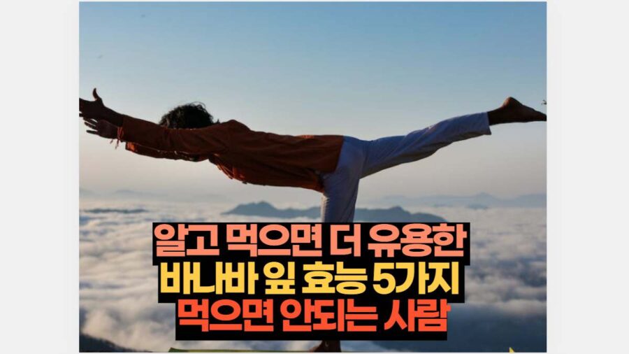 알고 먹으면 더 유용한  바나바 잎 효능 5가지  먹으면 안되는 사람