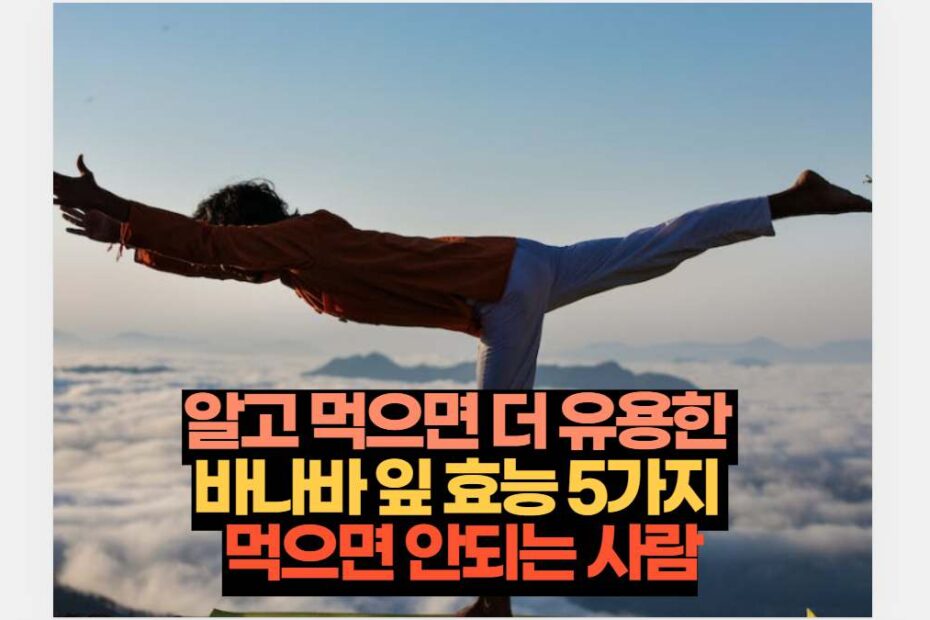 알고 먹으면 더 유용한  바나바 잎 효능 5가지  먹으면 안되는 사람