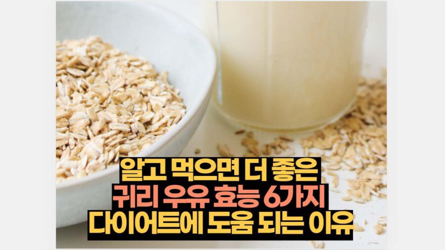 알고 먹으면 더 좋은 귀리 우유 효능 6가지 다이어트에 도움 되는 이유