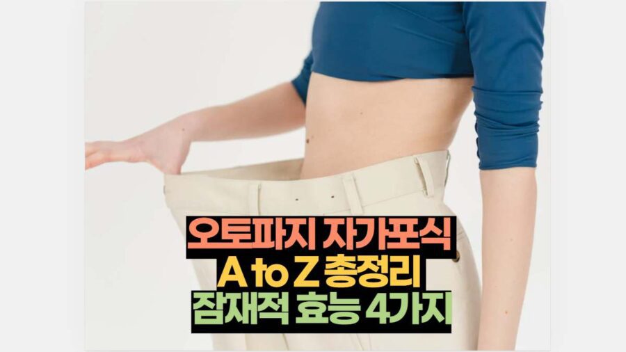 오토파지 자가포식  A to Z 총정리  잠재적 효능 4가지
