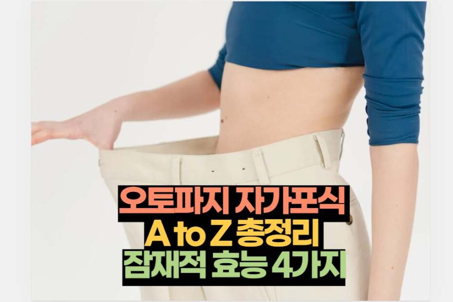 오토파지 자가포식  A to Z 총정리  잠재적 효능 4가지