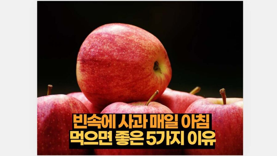 빈속에 사과 매일 아침  먹으면 좋은 5가지 이유