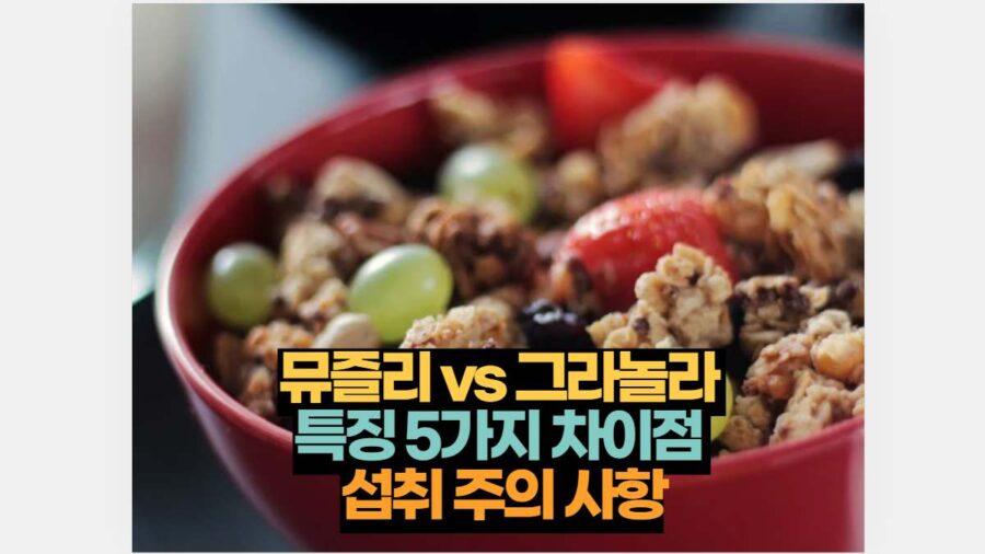 뮤즐리 vs 그라놀라  특징 5가지 차이점  섭취 주의 사항