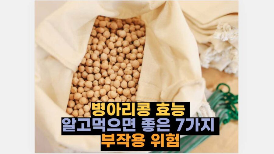 병아리콩 효능  알고먹으면 좋은 7가지  부작용 위험