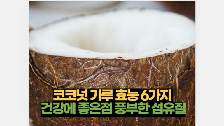코코넛 가루 효능 6가지  건강에 좋은점 풍부한 섬유질