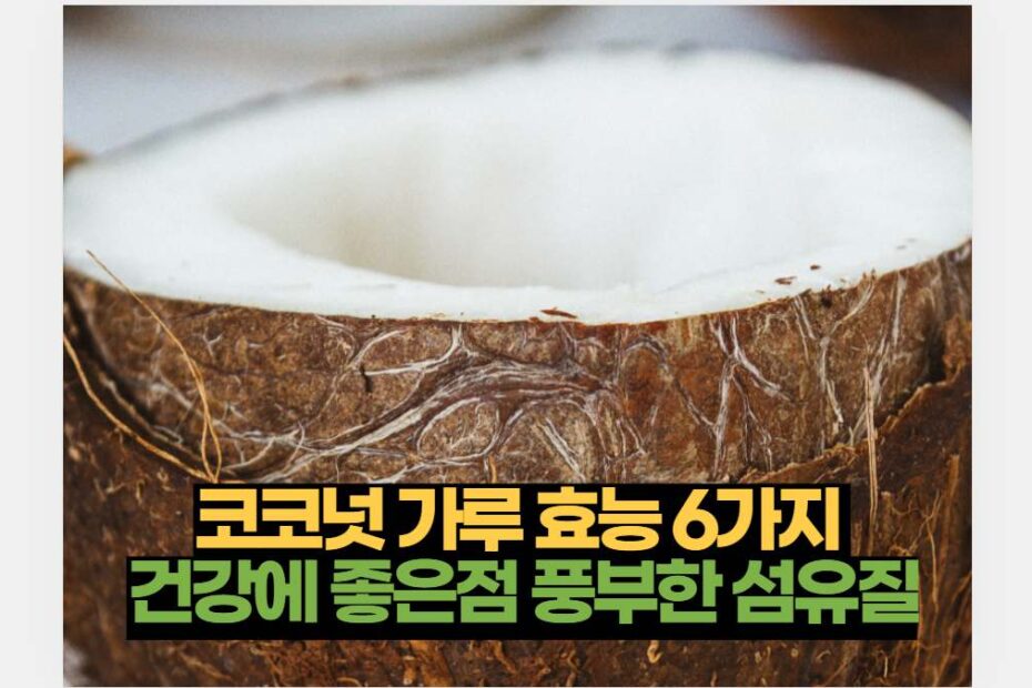 코코넛 가루 효능 6가지  건강에 좋은점 풍부한 섬유질