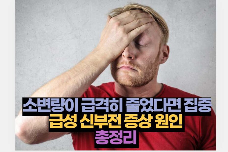 소변량이 급격히 줄었다면 집중 급성 신부전 증상 원인  총정리 