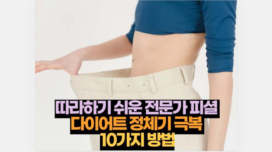 따라하기 쉬운 전문가 피셜 다이어트 정체기 극복 10가지 방법