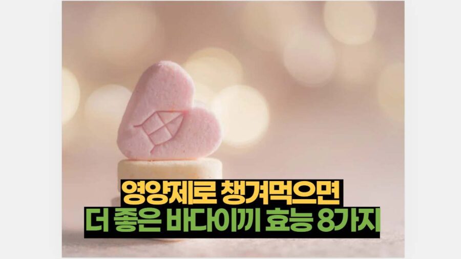 영양제로 챙겨먹으면  더 좋은 바다이끼 효능 8가지