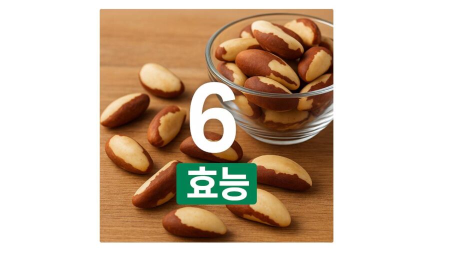 브라질너트 하루 2알로 얻는 6가지 놀라운 변화
