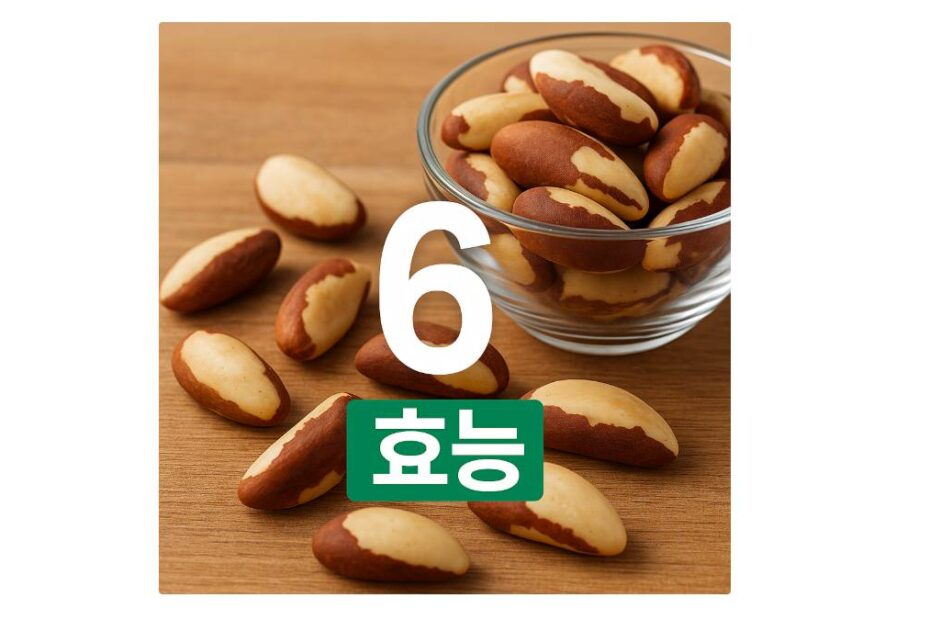 브라질너트 하루 2알로 얻는 6가지 놀라운 변화