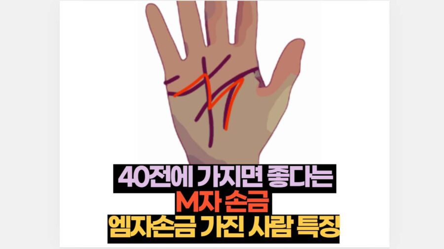  40전에 가지면 좋다는  M자 손금  엠자손금 가진 사람 특징