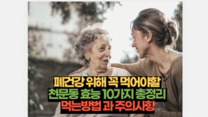 천문동 효능 폐건강을 위해 꼭 10가지 총정리 먹는방법 주의사항