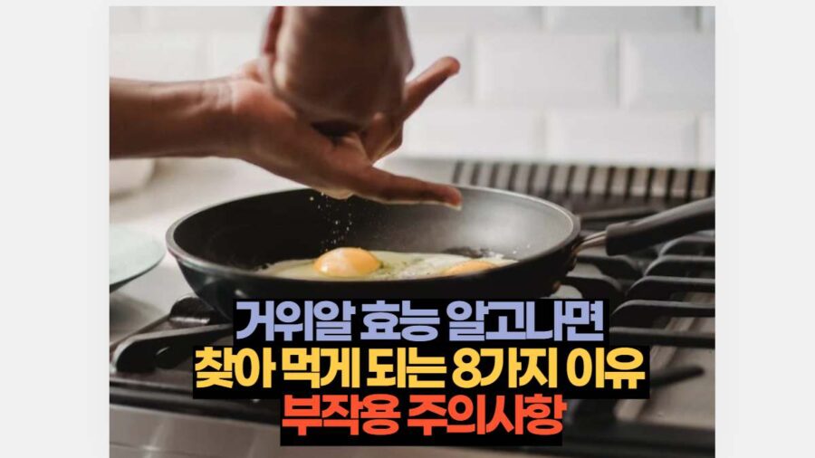 거위알 효능 알고나면  찾아 먹게 되는 8가지 이유  부작용 주의사항