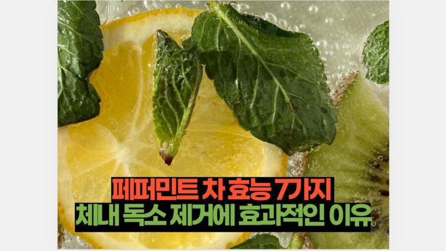 페퍼민트 차 효능 7가지  체내 독소 제거에 효과적인 이유