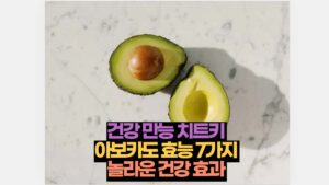 건강 만능 치트키 아보카도 효능 7가지 놀라운 건강 효과