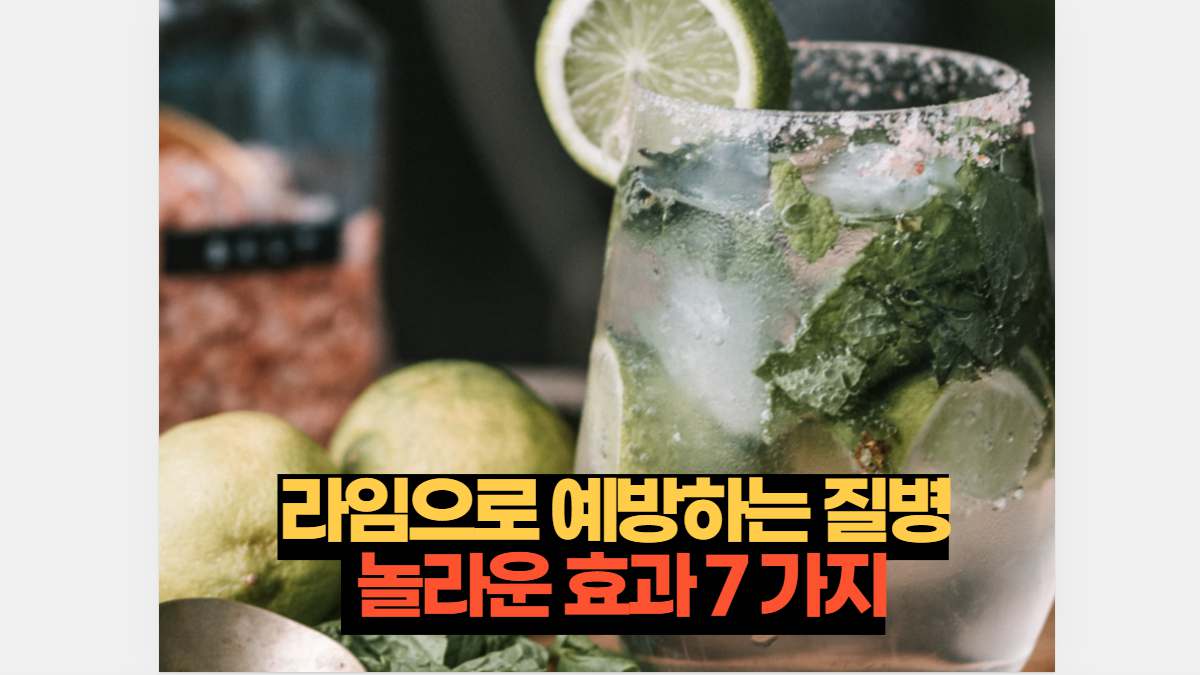 라임 효능 7가지 당신은 미처 몰랐던 놀라운 비밀 | 2026