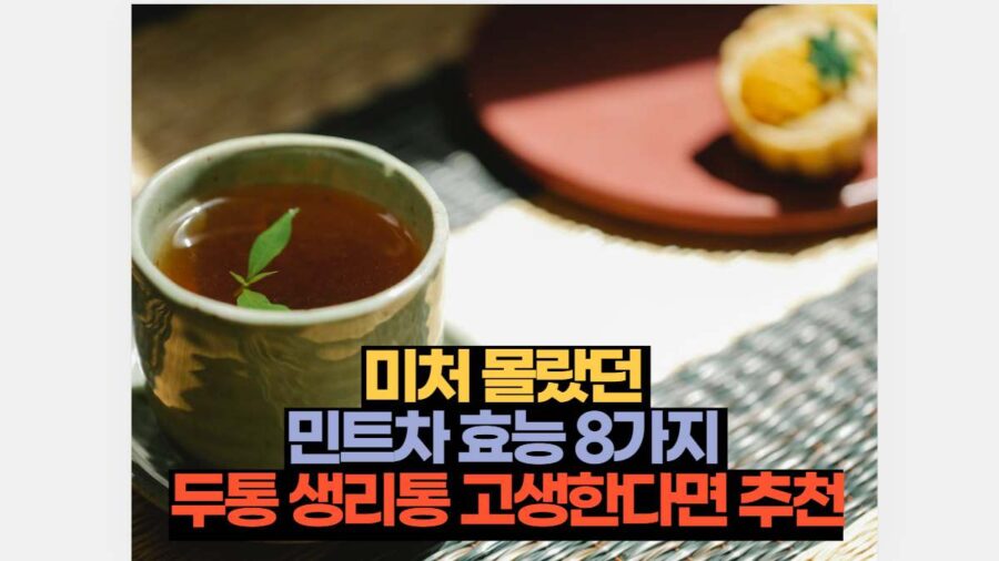 미처 몰랐던  민트차 효능 8가지  두통 생리통 고생한다면 추천