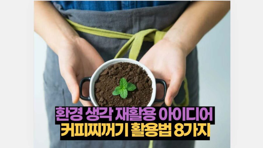 환경 생각 재활용 아이디어  커피찌꺼기 활용법 8가지