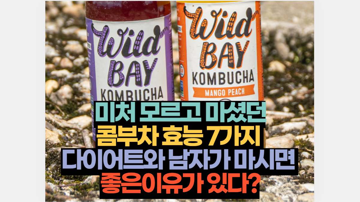 콤부차 효능 7가지 다이어트와 남자가 마시면 좋은이유가 있다? | 2026