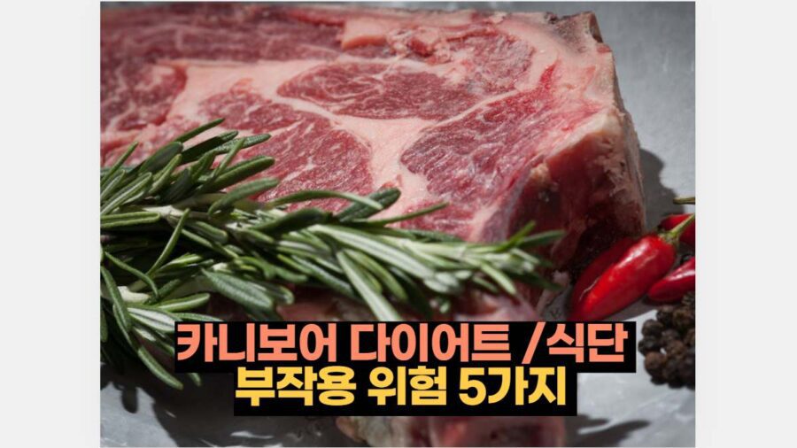 카니보어 다이어트 /식단  부작용 위험 5가지 