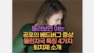 물려보면 아는 공포의 베드버그 증상 물린자국 특징 4가지 퇴치제 소개 