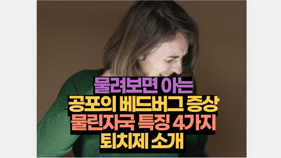 물려보면 아는 공포의 베드버그 증상 물린자국 특징 4가지 퇴치제 소개 