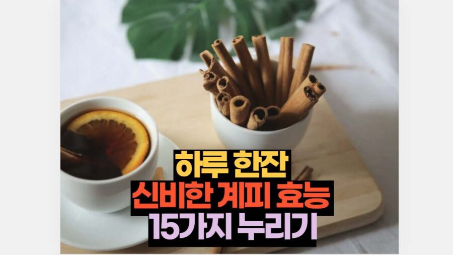 하루 한잔  신비한 계피 효능  15가지 누리기