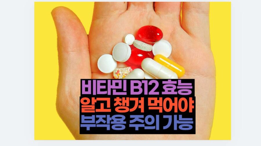 비타민 B12 효능  알고 챙겨 먹어야  부작용 주의 가능 