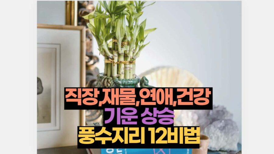 직장,재물,연애,건강  기운 상승 풍수지리 12비법