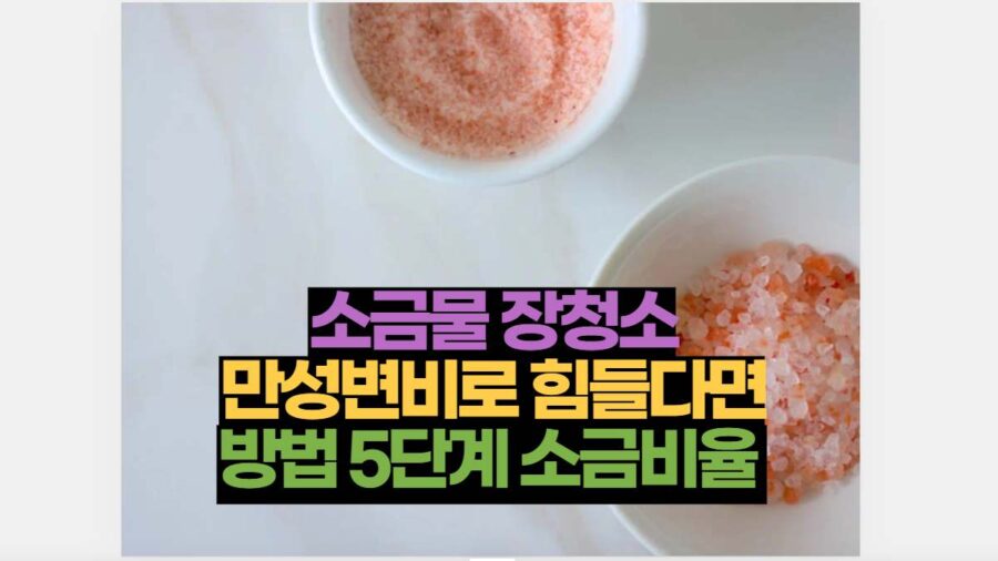 소금물 장청소 만성변비로 힘들다면 방법 5단계 소금비율 