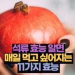 석류 효능 알면 매일 먹고 싶어지는 11가지 효능 영양성분