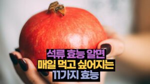 석류 효능 알면 매일 먹고 싶어지는 11가지 효능 영양성분