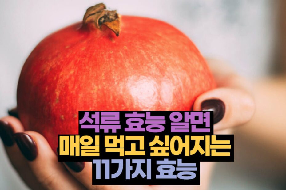 석류 효능 알면 매일 먹고 싶어지는 11가지 효능 영양성분
