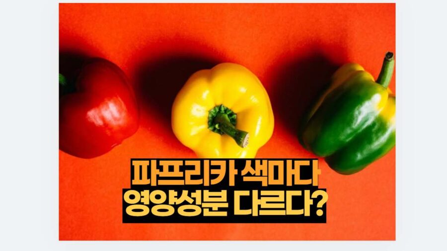 파프리카 색마다 영양성분 다르다?