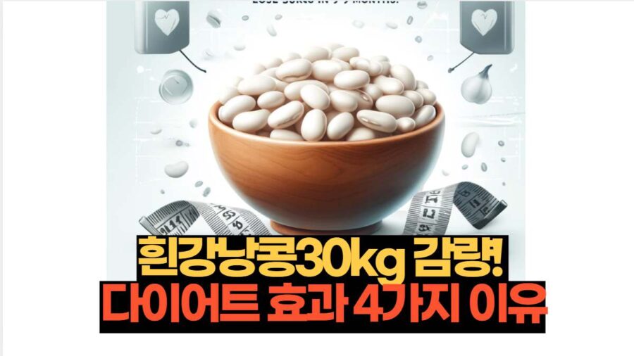 흰강낭콩30kg 감량!  다이어트 효과 4가지 이유